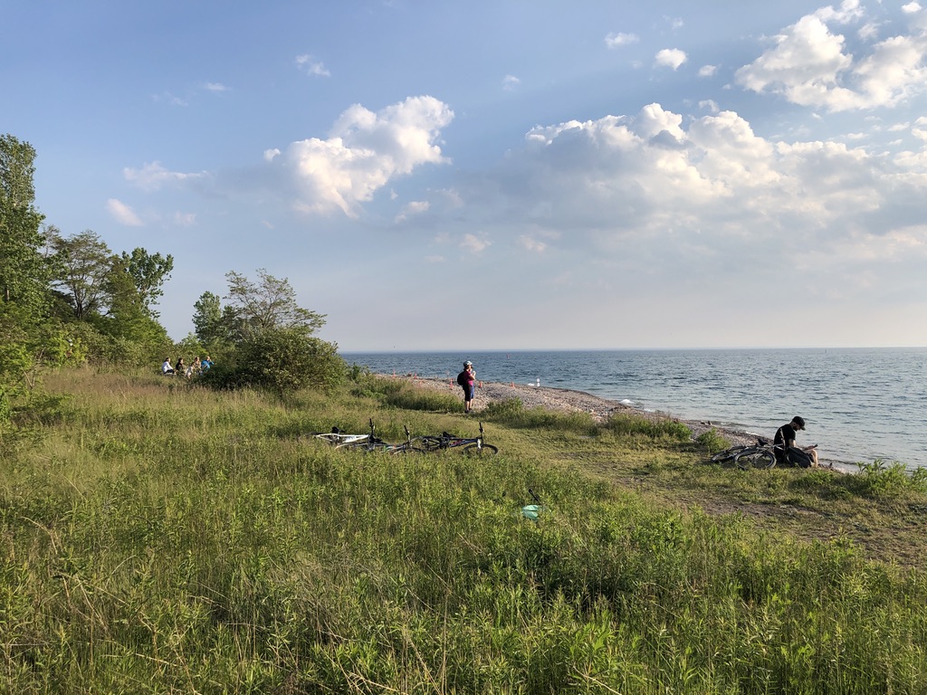 Queer Ecologies: 10 Feb&nbsp;2025