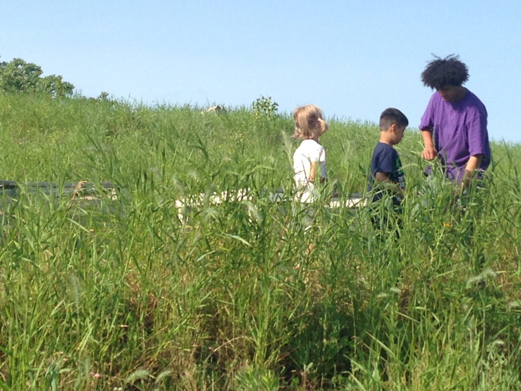 Habitat creation and reconciliation: 19 Nov&nbsp;2024